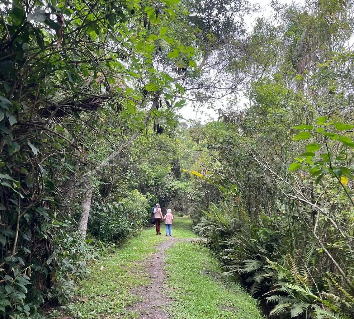 Sitio Tudo E Arte Piçarras Brazylia