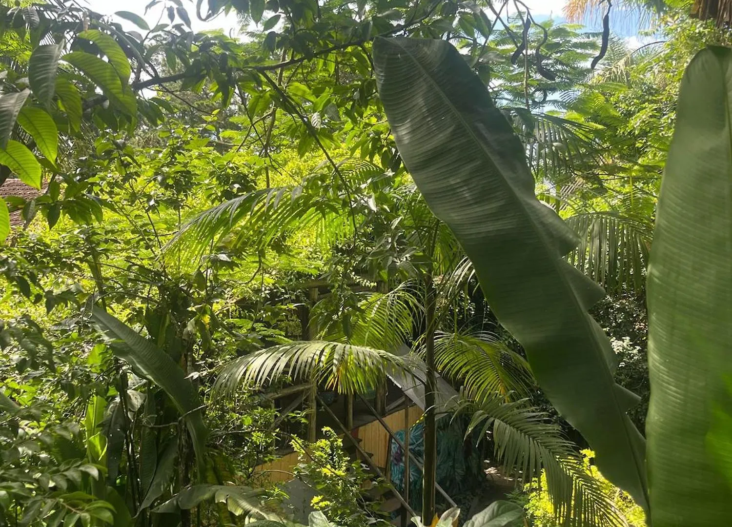 Sitio Tudo E Arte Piçarras Brazylia
